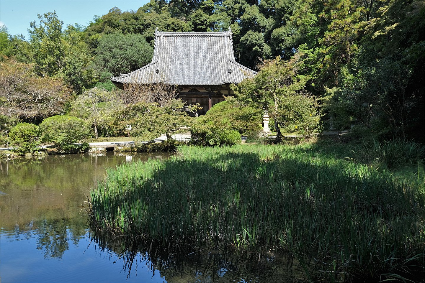 🌸 조가쿠지 (長岳寺) 이미지 6